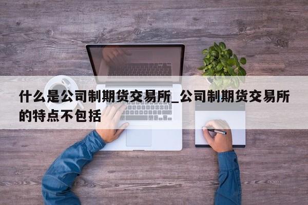 什么是公司制期货交易所_公司制期货交易所的特点不包括