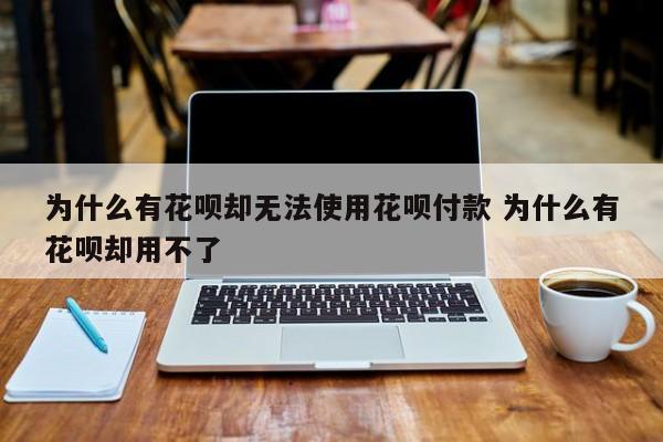 为什么有花呗却无法使用花呗付款 为什么有花呗却用不了