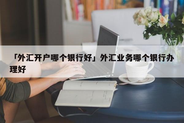「外汇开户哪个银行好」外汇业务哪个银行办理好