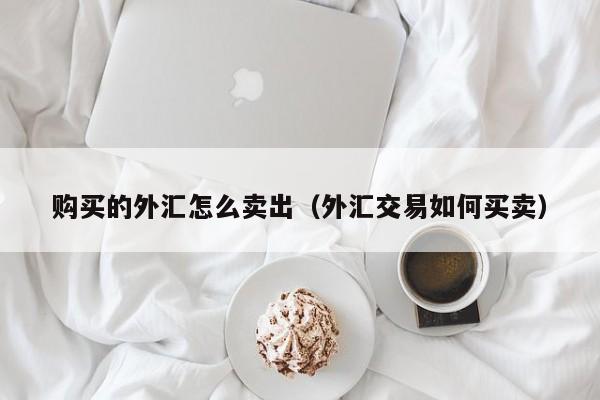 购买的外汇怎么卖出（外汇交易如何买卖）