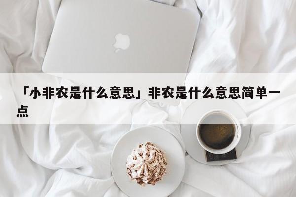 「小非农是什么意思」非农是什么意思简单一点