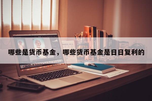 哪些是货币基金，哪些货币基金是日日复利的