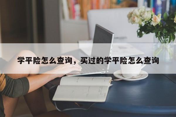 学平险怎么查询，买过的学平险怎么查询