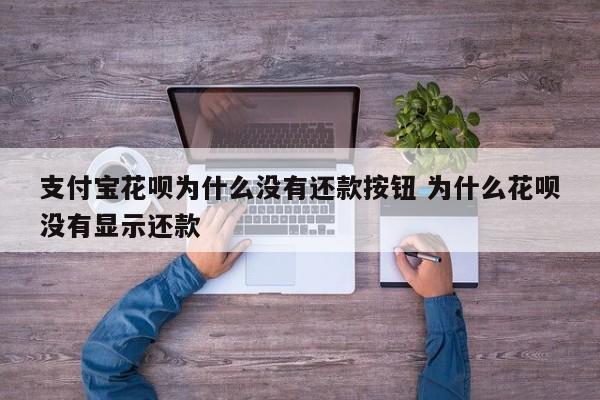 支付宝花呗为什么没有还款按钮 为什么花呗没有显示还款