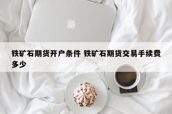 铁矿石期货开户条件 铁矿石期货交易手续费多少