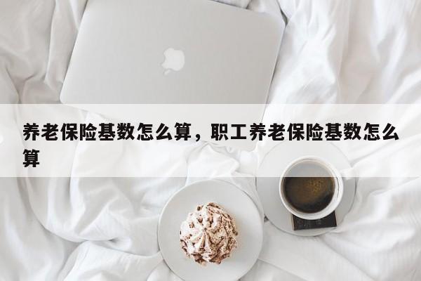 养老保险基数怎么算，职工养老保险基数怎么算
