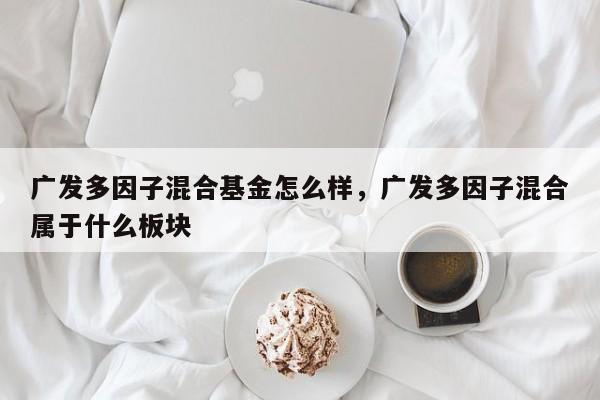 广发多因子混合基金怎么样，广发多因子混合属于什么板块