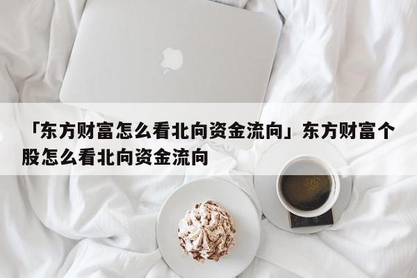 「东方财富怎么看北向资金流向」东方财富个股怎么看北向资金流向