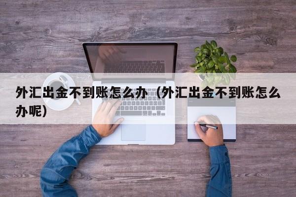 外汇出金不到账怎么办（外汇出金不到账怎么办呢）