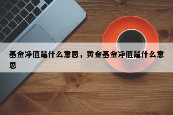 基金净值是什么意思，黄金基金净值是什么意思