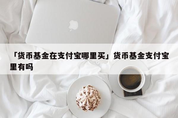 「货币基金在支付宝哪里买」货币基金支付宝里有吗