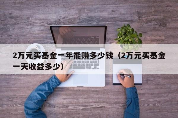 2万元买基金一年能赚多少钱（2万元买基金一天收益多少）