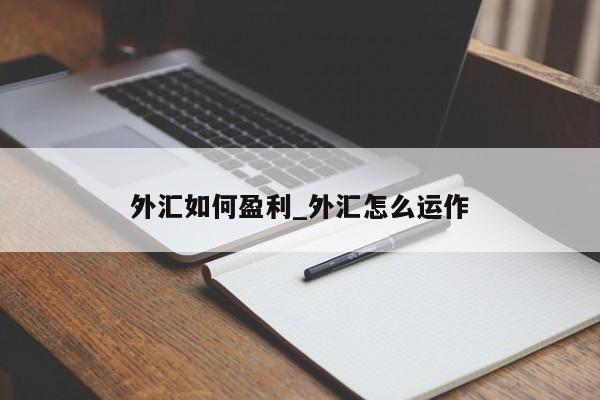 外汇如何盈利_外汇怎么运作