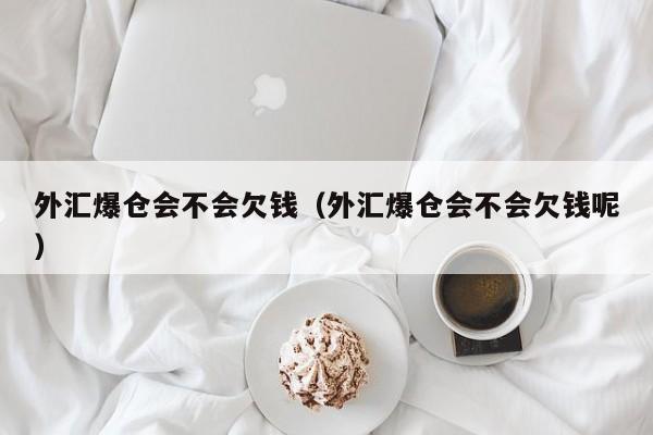 外汇爆仓会不会欠钱（外汇爆仓会不会欠钱呢）