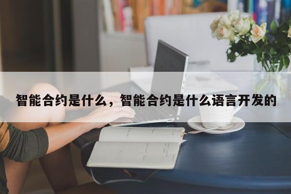 智能合约是什么，智能合约是什么语言开发的