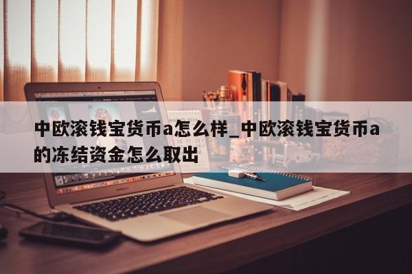 中欧滚钱宝货币a怎么样_中欧滚钱宝货币a的冻结资金怎么取出