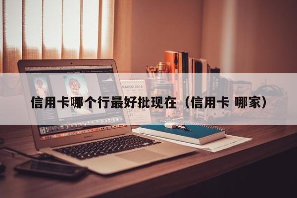 信用卡哪个行最好批现在（信用卡 哪家）