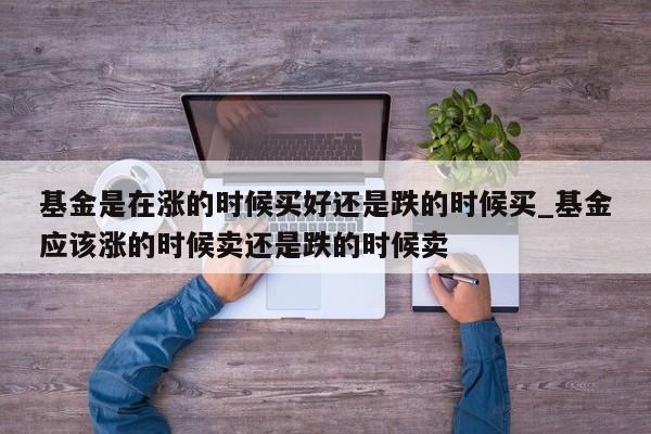 基金是在涨的时候买好还是跌的时候买_基金应该涨的时候卖还是跌的时候卖