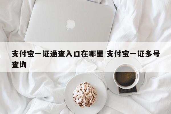 支付宝一证通查入口在哪里 支付宝一证多号查询