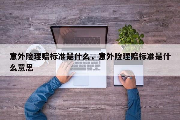意外险理赔标准是什么，意外险理赔标准是什么意思