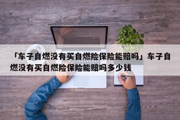 「车子自燃没有买自燃险保险能赔吗」车子自燃没有买自燃险保险能赔吗多少钱