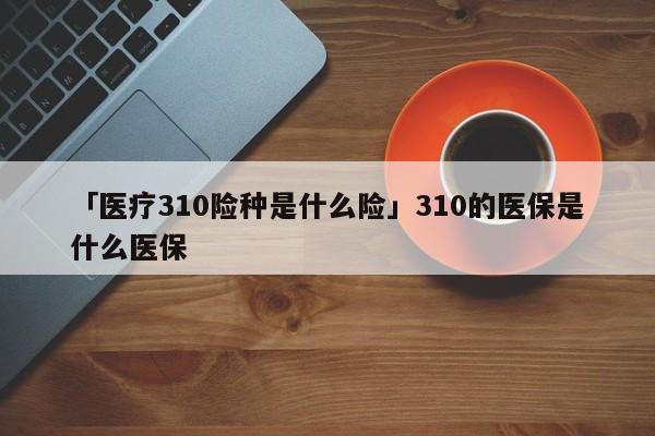 「医疗310险种是什么险」310的医保是什么医保