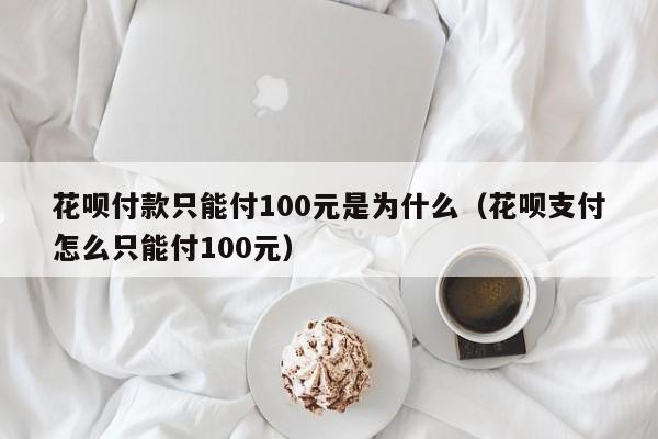 花呗付款只能付100元是为什么（花呗支付怎么只能付100元）