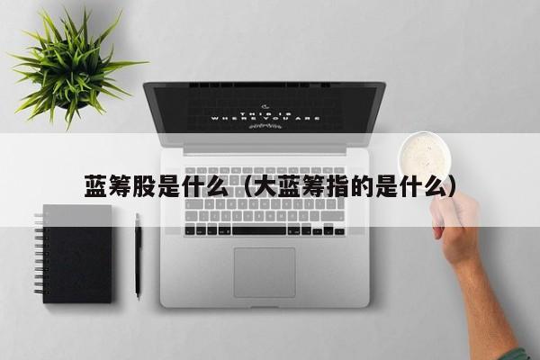 蓝筹股是什么（大蓝筹指的是什么）