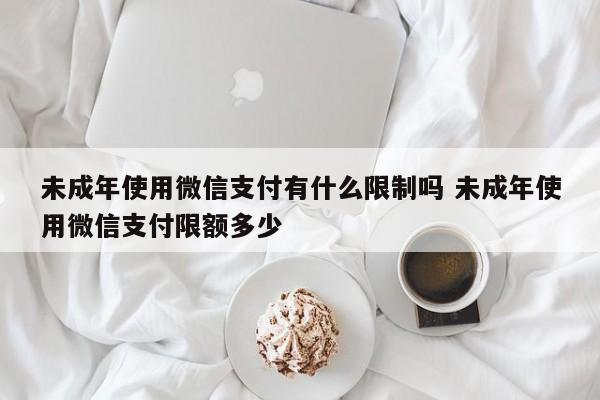 未成年使用微信支付有什么限制吗 未成年使用微信支付限额多少