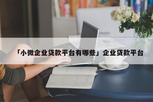 「小微企业贷款平台有哪些」企业贷款平台
