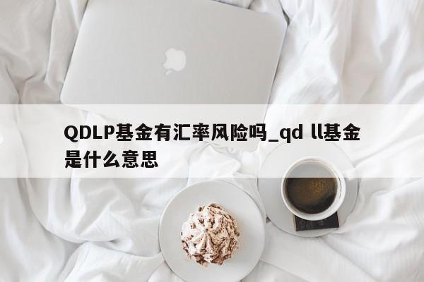 QDLP基金有汇率风险吗_qd ll基金是什么意思